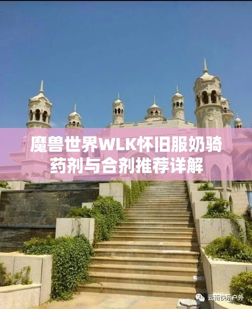魔兽世界WLK怀旧服奶骑药剂与合剂推荐详解