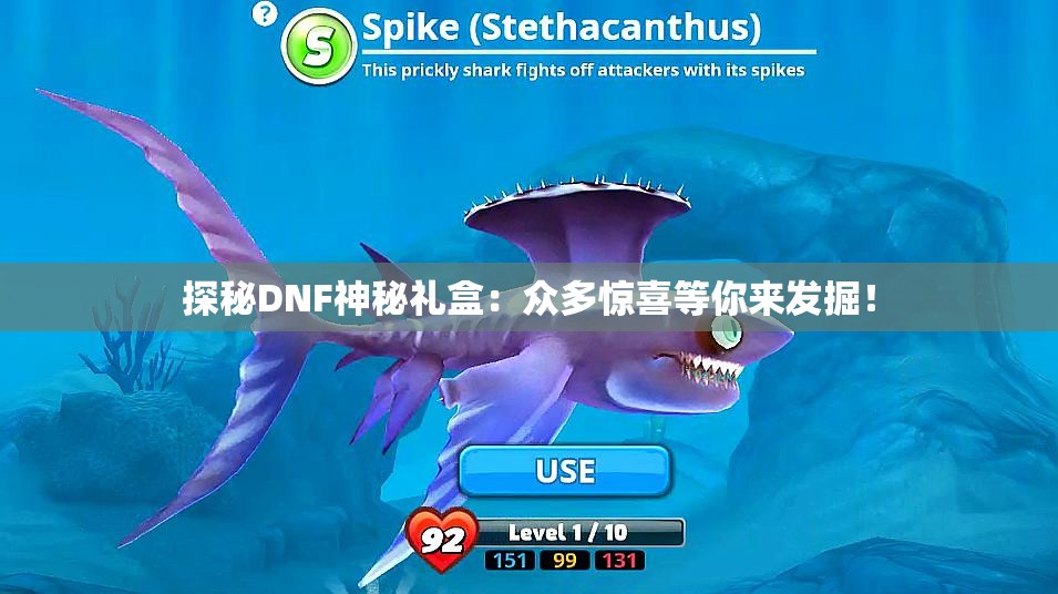 探秘DNF神秘礼盒：众多惊喜等你来发掘！