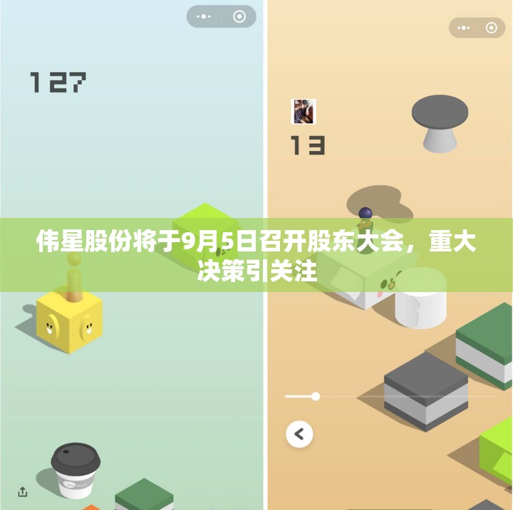 伟星股份将于9月5日召开股东大会，重大决策引关注