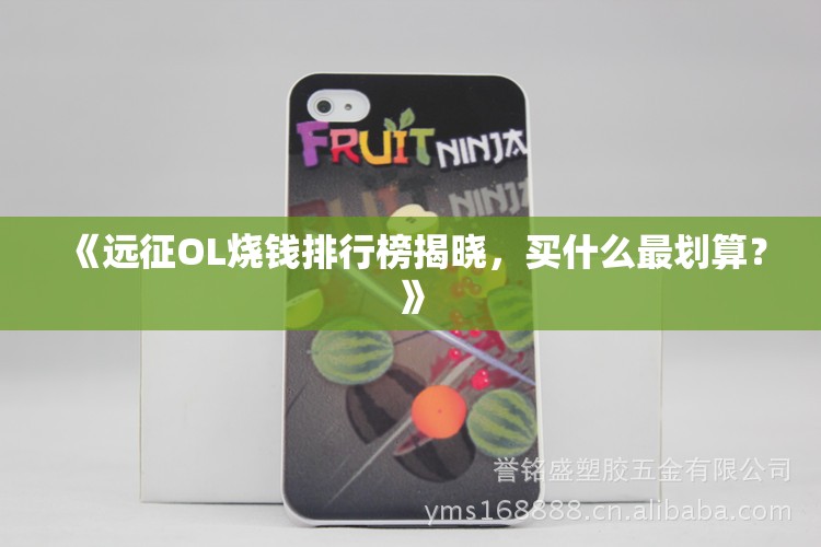 《远征OL烧钱排行榜揭晓，买什么最划算？》