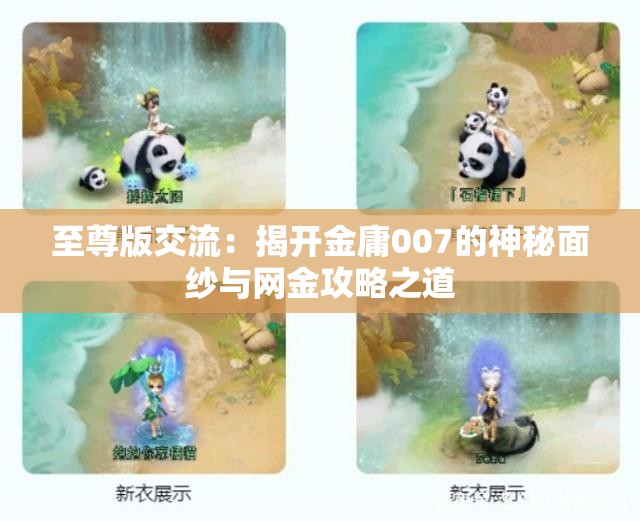 至尊版交流：揭开金庸007的神秘面纱与网金攻略之道