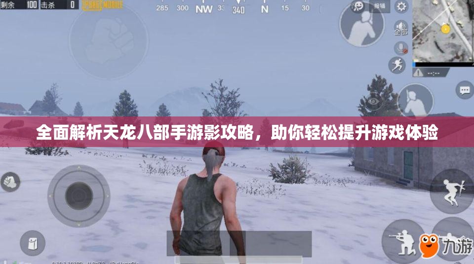 全面解析天龙八部手游影攻略，助你轻松提升游戏体验