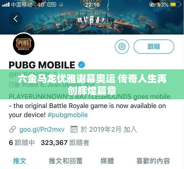 六金马龙优雅谢幕奥运 传奇人生再创辉煌篇章