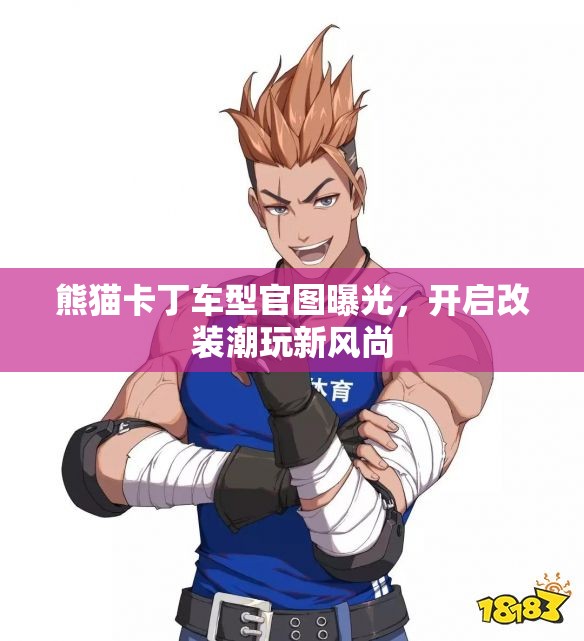 熊猫卡丁车型官图曝光，开启改装潮玩新风尚