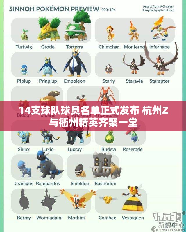 14支球队球员名单正式发布 杭州Z与衢州精英齐聚一堂