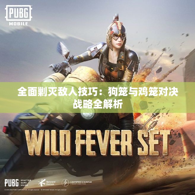 全面剿灭敌人技巧：狗笼与鸡笼对决战略全解析