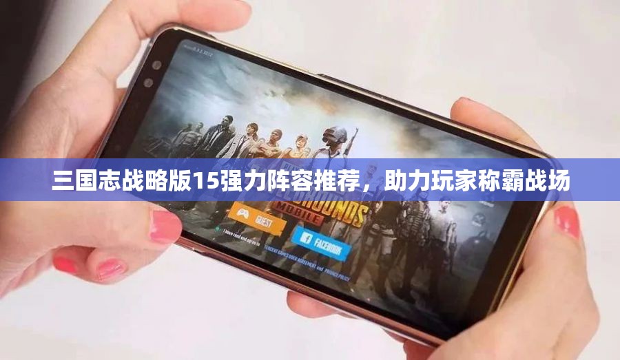 三国志战略版15强力阵容推荐，助力玩家称霸战场