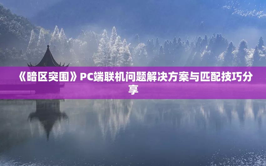 《暗区突围》PC端联机问题解决方案与匹配技巧分享