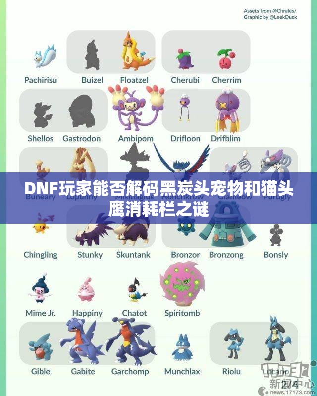 DNF玩家能否解码黑炭头宠物和猫头鹰消耗栏之谜