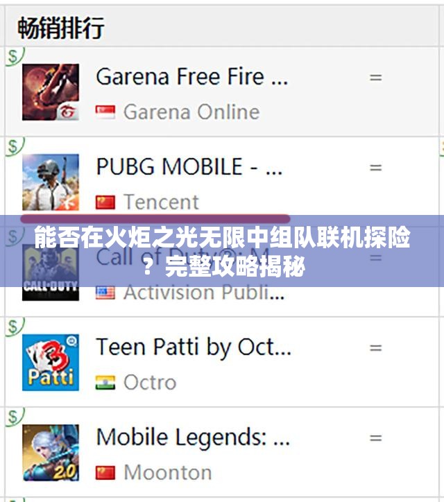 能否在火炬之光无限中组队联机探险？完整攻略揭秘