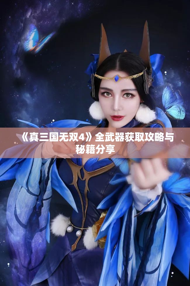 《真三国无双4》全武器获取攻略与秘籍分享