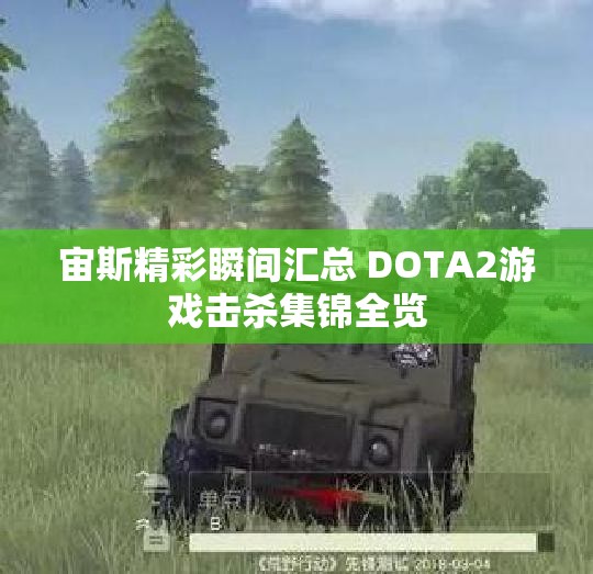 宙斯精彩瞬间汇总 DOTA2游戏击杀集锦全览