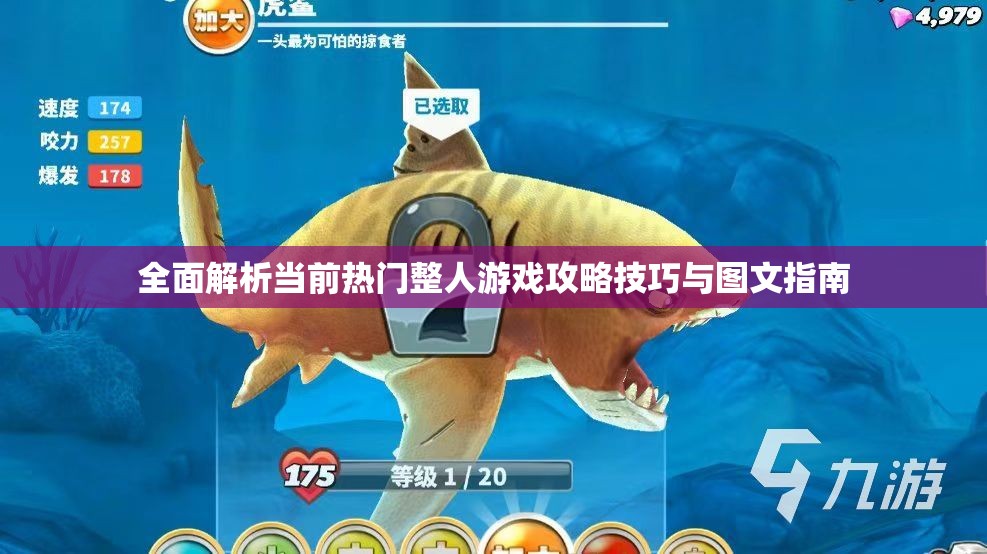 全面解析当前热门整人游戏攻略技巧与图文指南