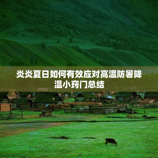 炎炎夏日如何有效应对高温防暑降温小窍门总结