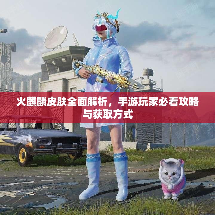 火麒麟皮肤全面解析，手游玩家必看攻略与获取方式