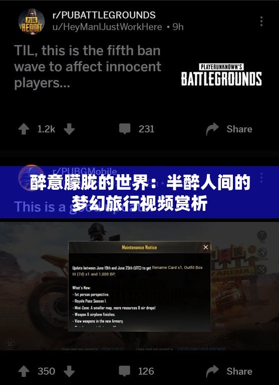 醉意朦胧的世界：半醉人间的梦幻旅行视频赏析