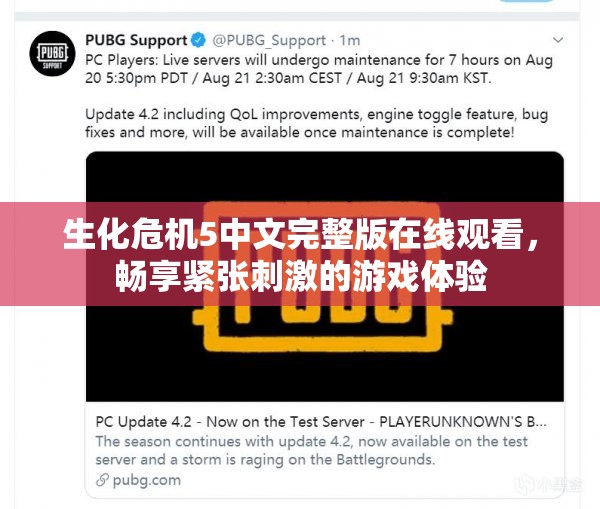 生化危机5中文完整版在线观看，畅享紧张刺激的游戏体验