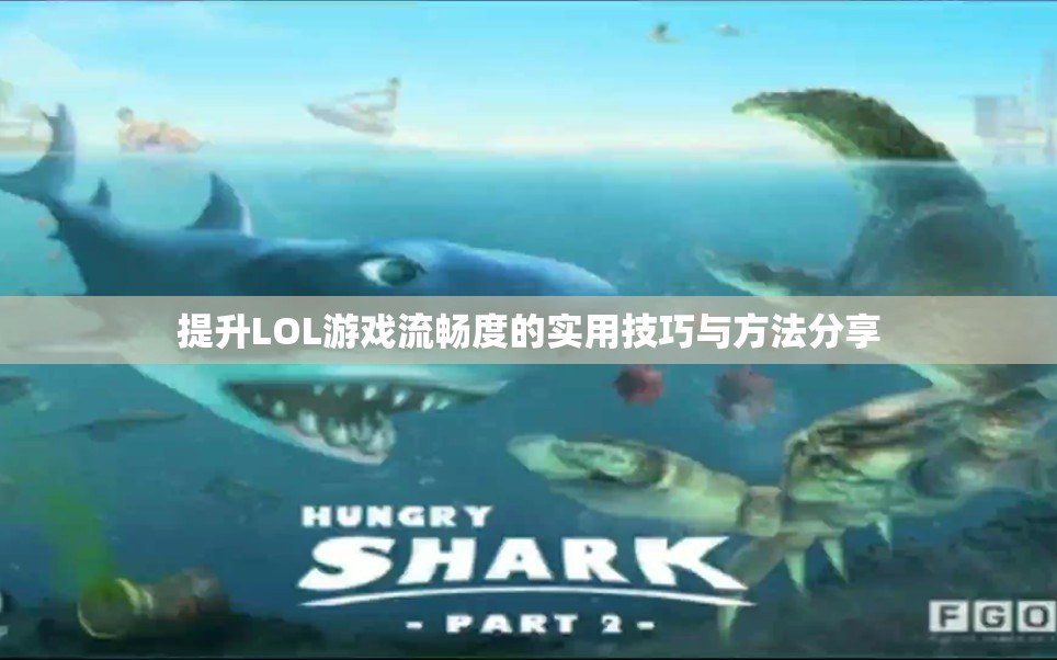 提升LOL游戏流畅度的实用技巧与方法分享