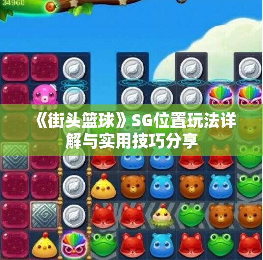 《街头篮球》SG位置玩法详解与实用技巧分享