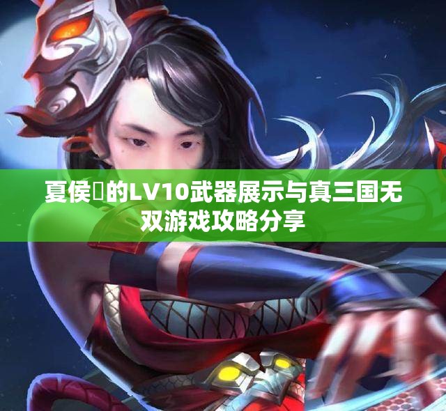 夏侯惇的LV10武器展示与真三国无双游戏攻略分享