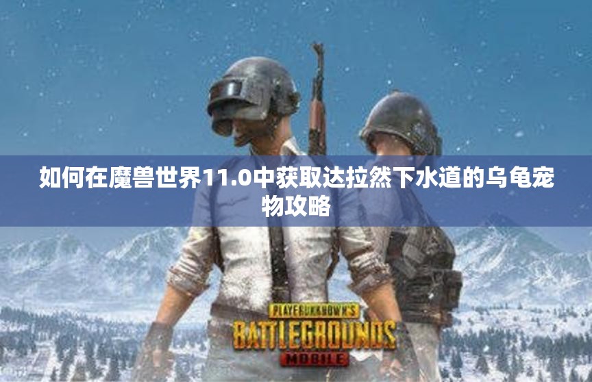 如何在魔兽世界11.0中获取达拉然下水道的乌龟宠物攻略