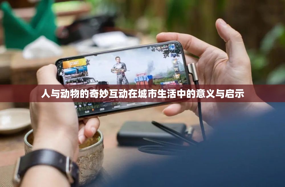 人与动物的奇妙互动在城市生活中的意义与启示