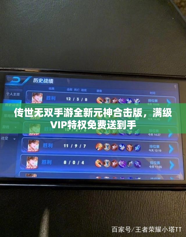传世无双手游全新元神合击版，满级VIP特权免费送到手
