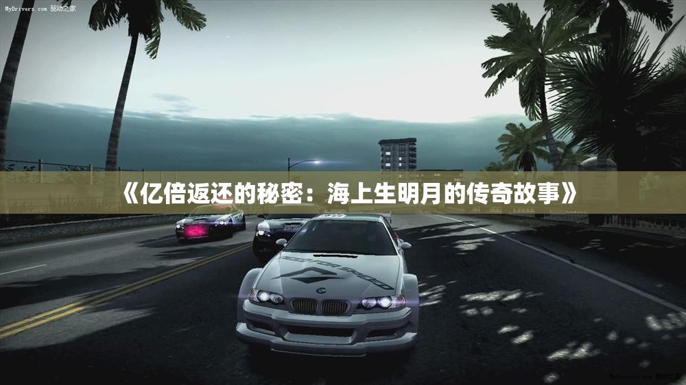 《亿倍返还的秘密：海上生明月的传奇故事》