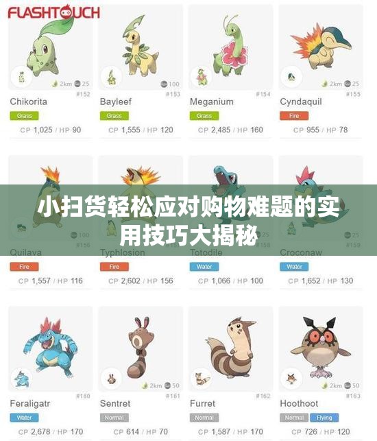 小扫货轻松应对购物难题的实用技巧大揭秘