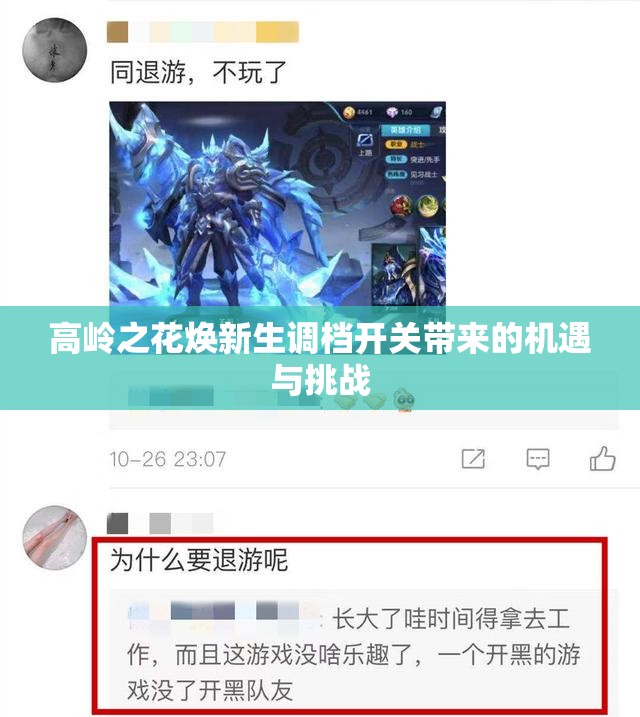 高岭之花焕新生调档开关带来的机遇与挑战