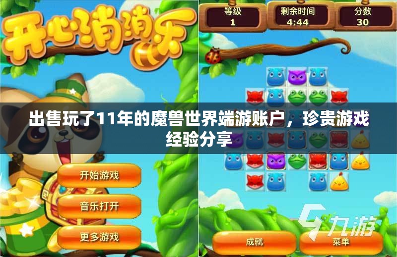 出售玩了11年的魔兽世界端游账户，珍贵游戏经验分享
