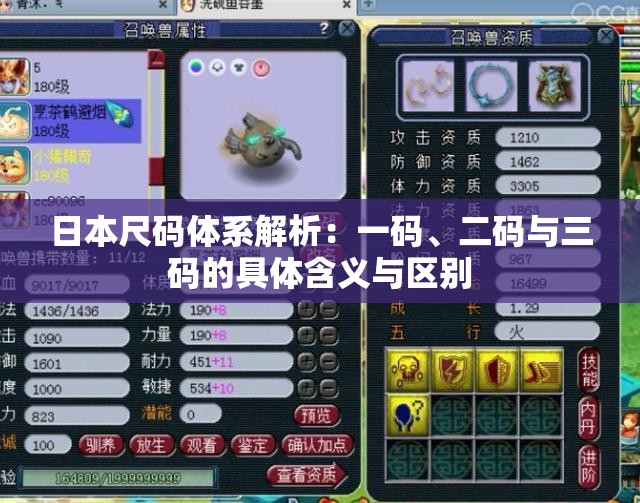 日本尺码体系解析：一码、二码与三码的具体含义与区别