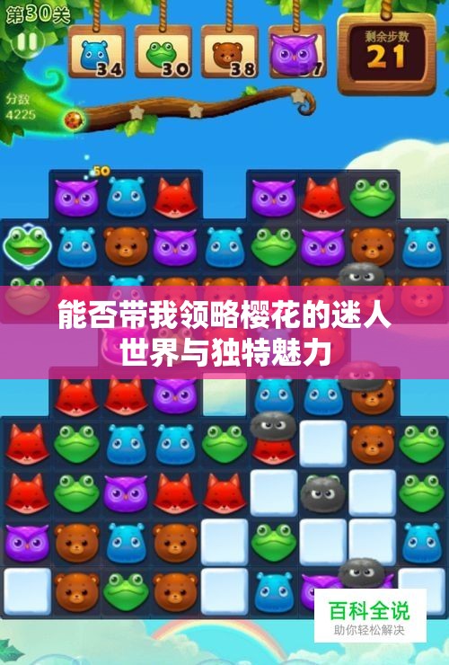 能否带我领略樱花的迷人世界与独特魅力