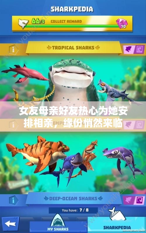 女友母亲好友热心为她安排相亲，缘份悄然来临