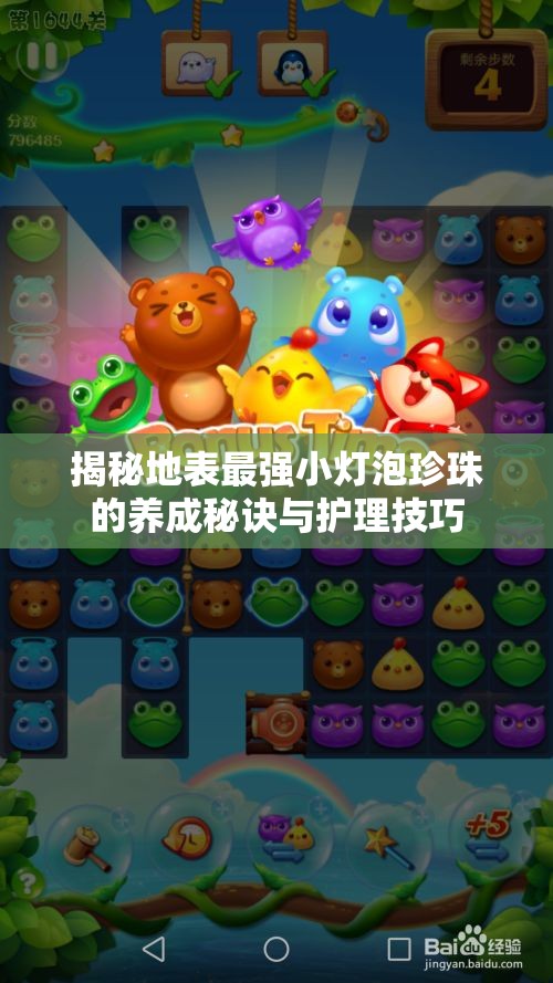 揭秘地表最强小灯泡珍珠的养成秘诀与护理技巧