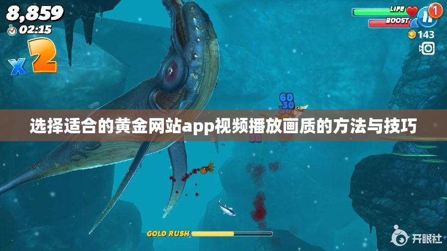 选择适合的黄金网站app视频播放画质的方法与技巧