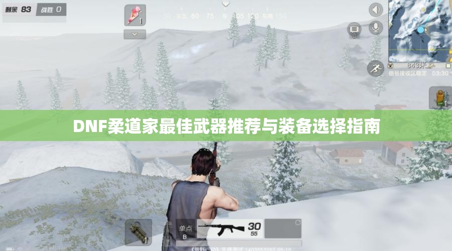 DNF柔道家最佳武器推荐与装备选择指南