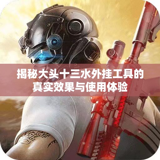 揭秘大头十三水外挂工具的真实效果与使用体验