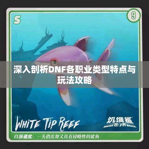 深入剖析DNF各职业类型特点与玩法攻略