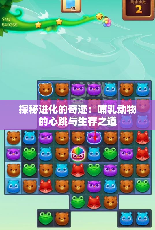 探秘进化的奇迹：哺乳动物的心跳与生存之道