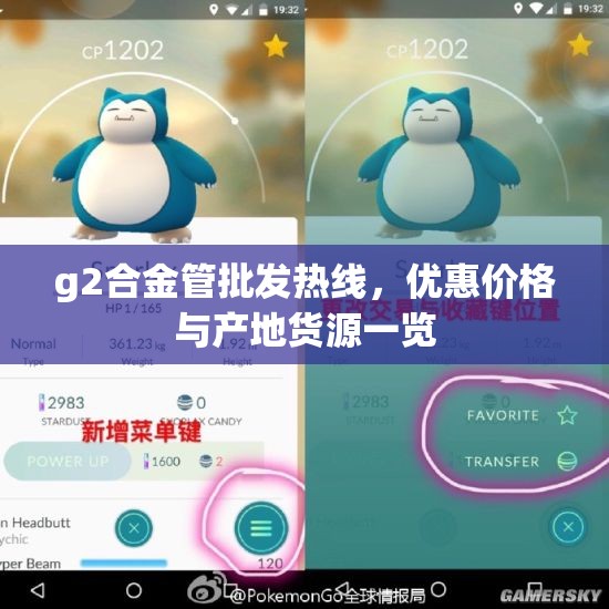 g2合金管批发热线，优惠价格与产地货源一览