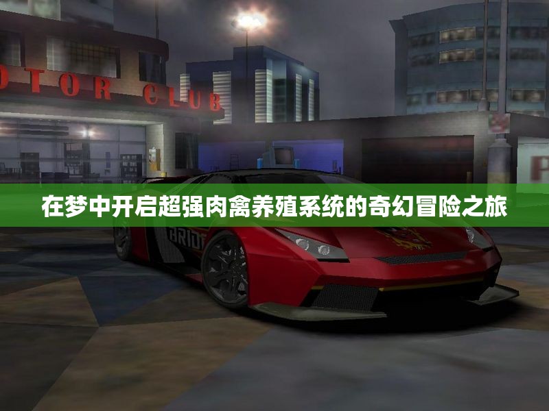 在梦中开启超强肉禽养殖系统的奇幻冒险之旅