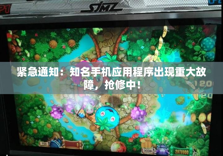 紧急通知：知名手机应用程序出现重大故障，抢修中！