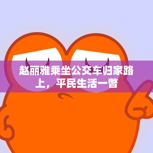 赵丽雅乘坐公交车归家路上，平民生活一瞥