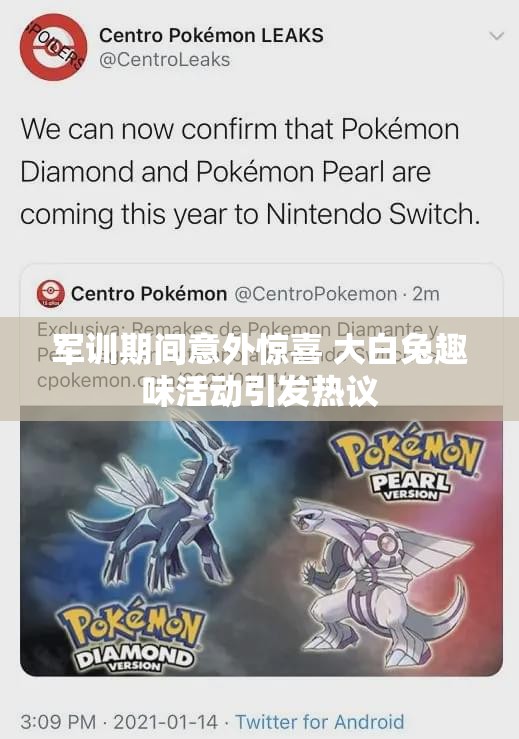 军训期间意外惊喜 大白兔趣味活动引发热议