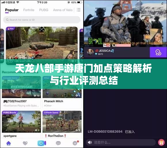 天龙八部手游唐门加点策略解析与行业评测总结