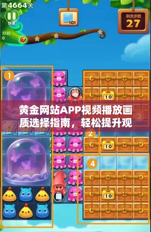 黄金网站APP视频播放画质选择指南，轻松提升观看体验