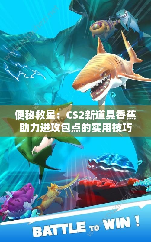 便秘救星：CS2新道具香蕉助力进攻包点的实用技巧解析