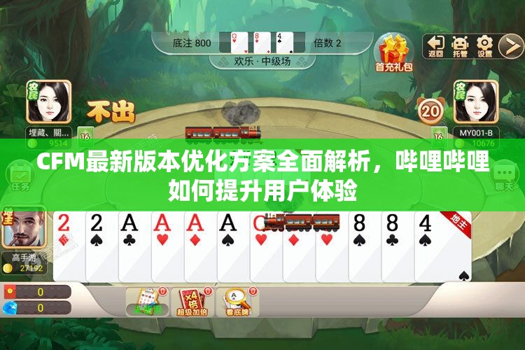CFM最新版本优化方案全面解析，哔哩哔哩如何提升用户体验