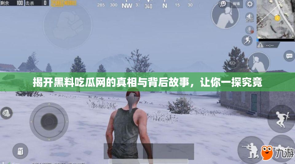揭开黑料吃瓜网的真相与背后故事，让你一探究竟